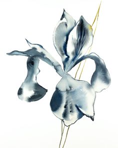 16 x 20 original watercolor botanical iris flower painting in an expressive, impressionist, minimalist, modern style by contemporary fine artist Elizabeth Becker. Soft and deep monochromatic blue, gold and white colors. Watercolor On Paper, Contemporary Fine Art, Nature Illustration, Art Watercolor