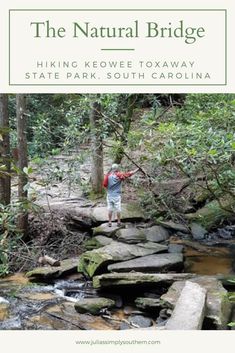 the natural bridge hiking keowee toxaway, state park, south carolina