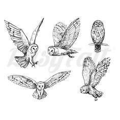 Owls - Temporary Tattoo Owl Flying Drawing, Owl Reference, White Owl Tattoo, Barn Owl Tattoo, Owl Tat, Realistic Owl Tattoo, Labyrinth Tattoo, Owl Tattoo Drawings, Owl Sketch