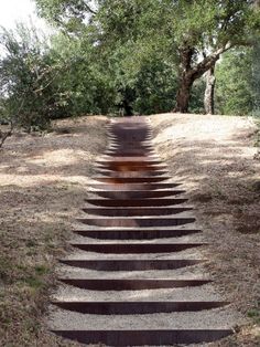 a set of steps leading up to the top of a hill in front of trees