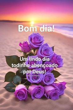 some purple roses are on the sand and there is a message in spanish that says, bomb dia