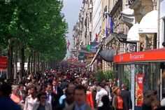 a large group of people walking down a street next to tall buildings with trees on both sides