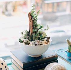 a bowl filled with plants sitting on top of a table next to books and other items