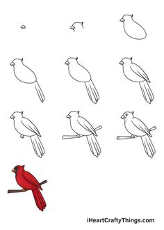 how to draw birds sitting on a branch with different shapes and sizes for children's drawings