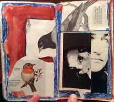 a hand holding an open book with pictures and birds on the pages, including a bird