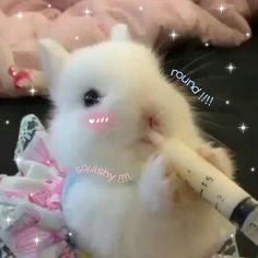 a white stuffed animal holding a pen in its mouth