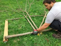 a man is working on some kind of tree