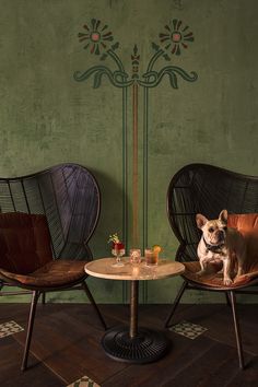 two chairs and a table with a small dog sitting on it in front of a green wall