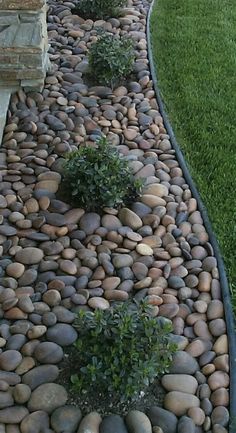 a garden path made out of rocks and grass