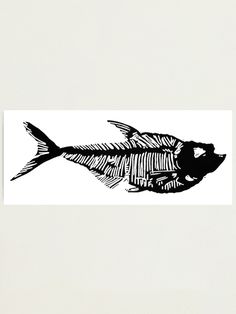 a black and white drawing of a fish skeleton