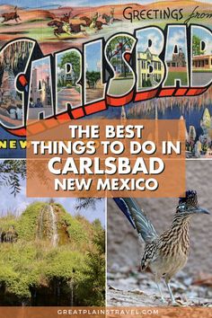 the best things to do in carlsdale, new mexico with images of buildings and trees