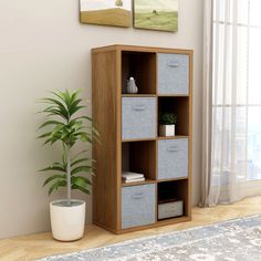 a room with a potted plant next to a wooden shelf filled with storage baskets