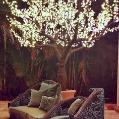 two wicker chairs sitting under a lighted tree