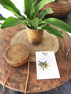 a potted plant sitting on top of a wooden table next to a book and wicker basket