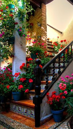 flowers are growing on the stairs and in pots