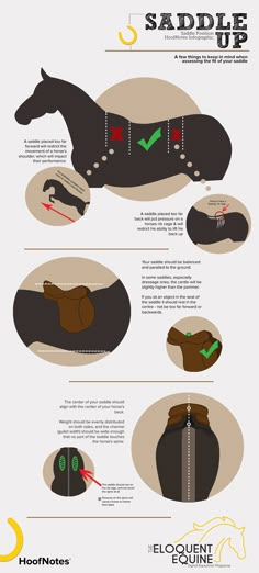 an info sheet shows how to wear saddles for horses and horses in the wild