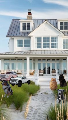 several dogs and cats sitting in front of a large white house with cars parked outside