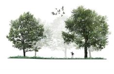 two trees with birds flying over them and one person standing in the grass near by