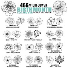 an image of flowers with the words 46 wildflowers and their names in black ink