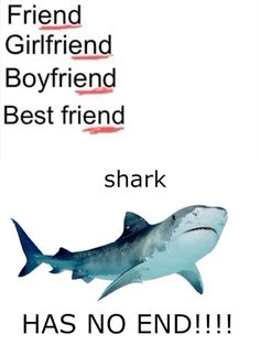 a shark with the caption friend girlfriend boyfriend best friend shark has no end