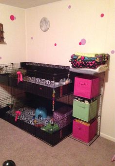 a room with several cages and toys on the floor in front of a pink polka dot wall