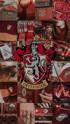 the hogwarts crest is surrounded by many different items