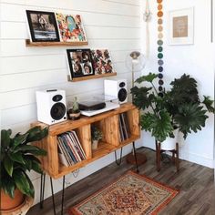 a room with some plants and pictures on the wall next to a wooden shelf filled with records