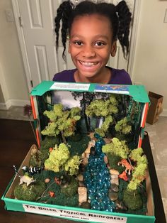 Biome Project, Elementary School Projects, Rainforest Ecosystem