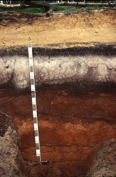 a ruler is in the middle of a deep pit with dirt and grass around it