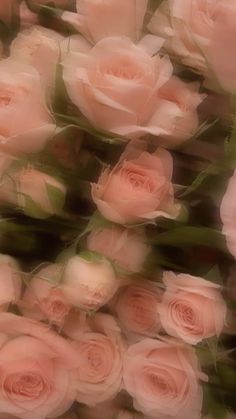 a bunch of pink roses that are in the middle of blurry image with green leaves