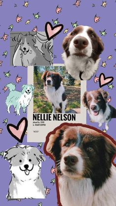 a collage of dogs and hearts on a purple background with the caption's name nelson