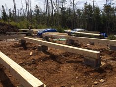 several wooden benches sitting on top of a dirt covered ground in front of some trees