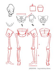 an image of how to draw the human body