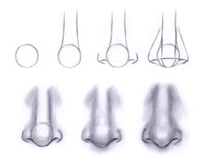 a drawing of different shapes and sizes of the foot, including one with long legs