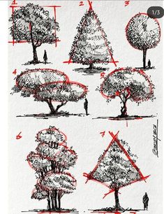 how to draw trees with pencils on paper