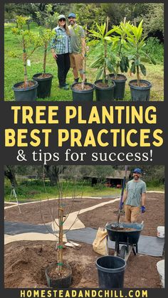 two men standing next to each other with trees in the background and text that reads tree planting best practices & tips for success