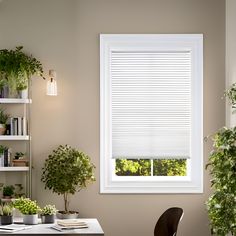 an office with plants and books on the desk