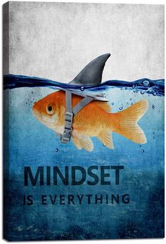 a goldfish with a shark's fin on its back and the words mindset is