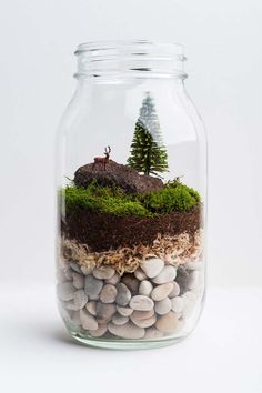 a glass jar filled with rocks and plants in the shape of a small tree sitting on top of a hill