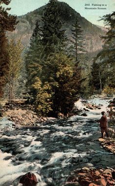 a man standing on the edge of a river next to trees and rocks with mountains in the background