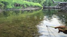 a person is holding a stick in the water