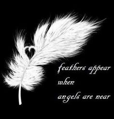 a white feather on a black background with the words feathers appear when angels are near