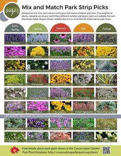 a poster with different types of plants and flowers on it's sides, including the names