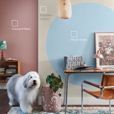 a white dog standing in front of a desk with a plant on top of it