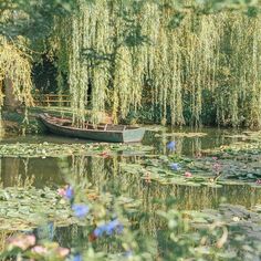 a boat floating on top of a body of water surrounded by trees and lily pads