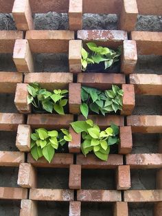 several bricks stacked together with plants growing in them