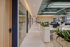 an empty office with plants in planters on either side of the desks and glass doors