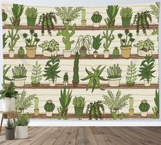 many potted plants are arranged on the shelves in front of a wallpapered background