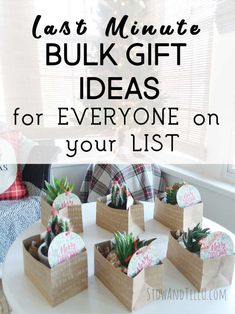 four small boxes with succulents in them and the words last minute buk gift ideas for everyone on your list