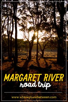 the words margaret river road trip are in front of trees and sun shining through them